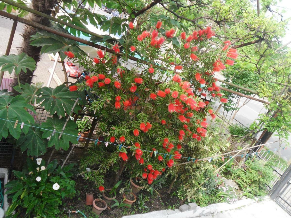 Guest House Nika Kobuleti Exterior photo